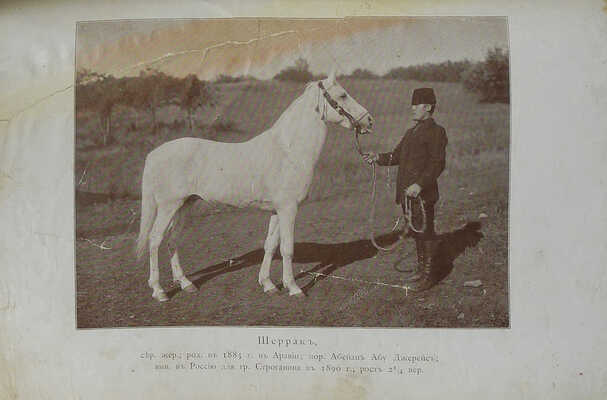 Щербатов, А.Г., Строганов, С.А. Книга об арабской лошади: С рис. лошадей и табл. пород. СПб., 1900.